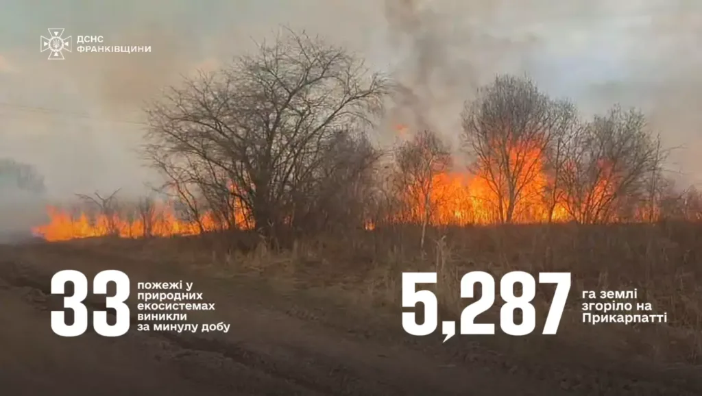 Пожежа в природній екосистемі Прикарпаття