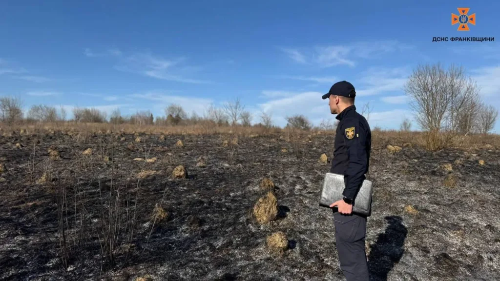 Рятувальник оглядає згарище на полі
