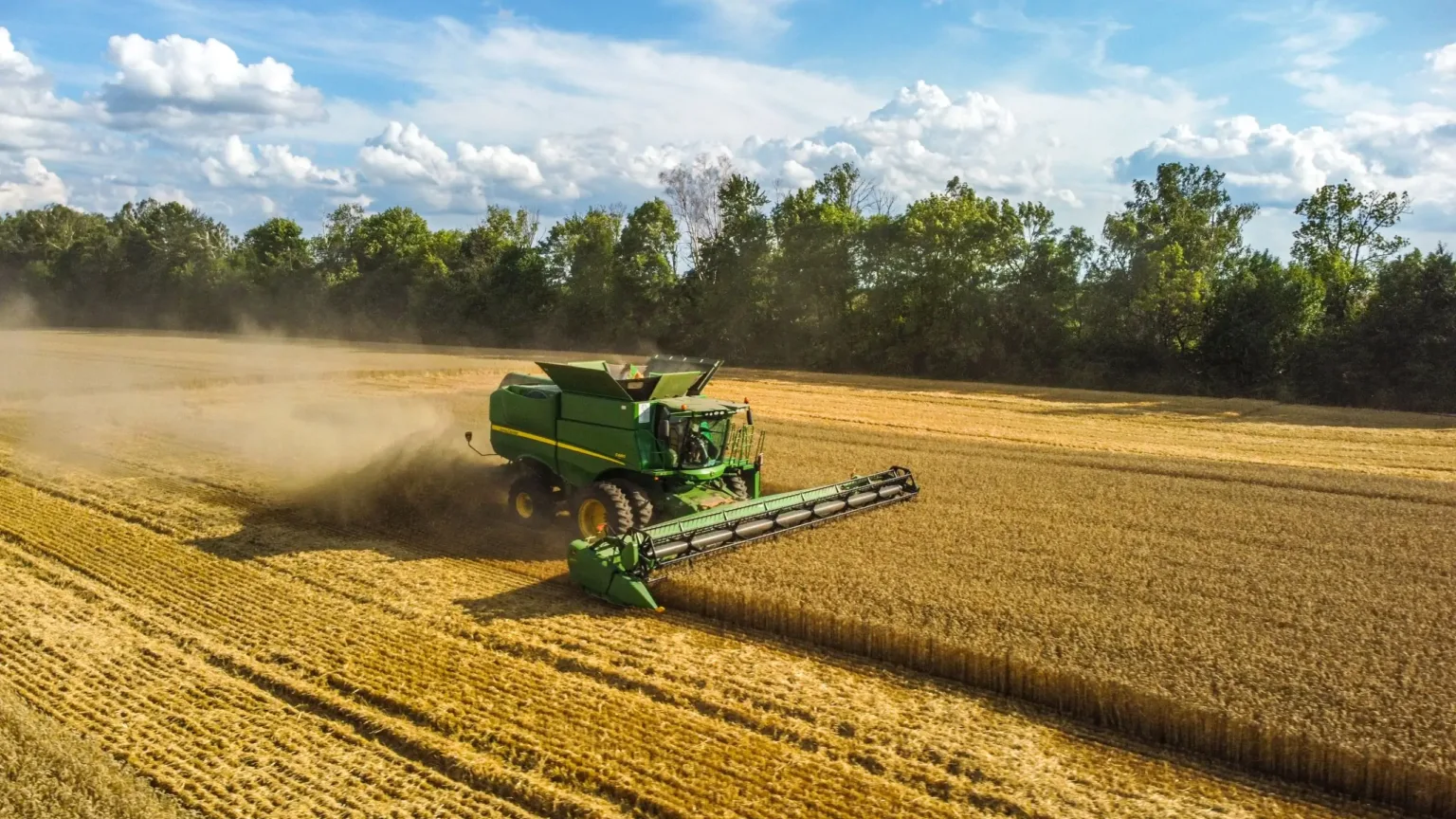 Комбайн збирає пшеницю на полі
