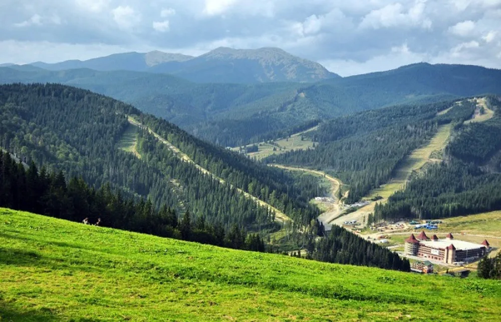 Карпатські гори та курорт серед лісів