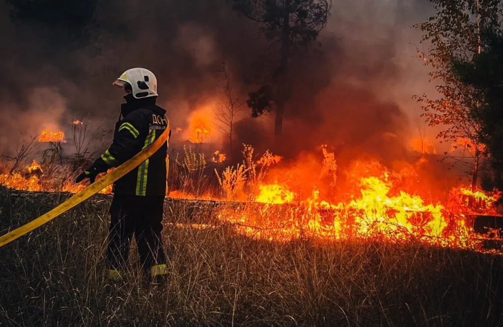 Пожежник гасить лісову пожежу