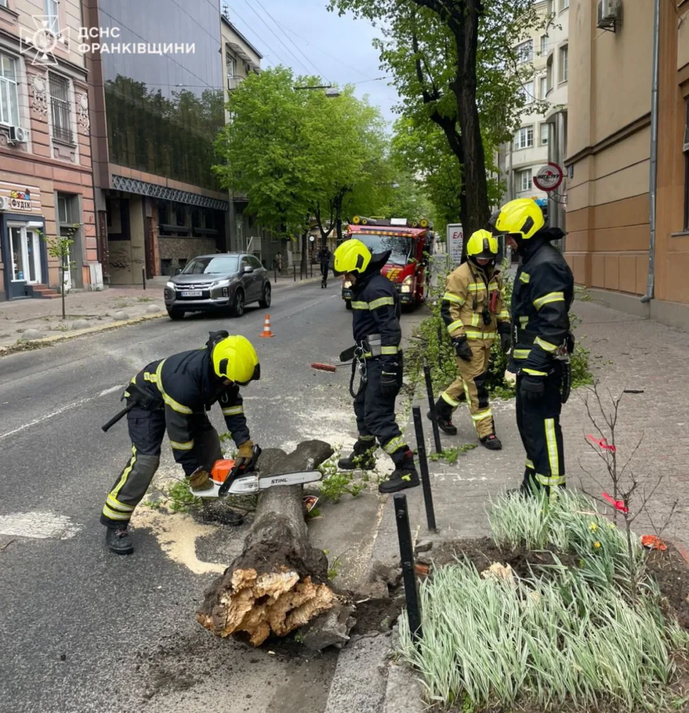 Рятувальники прибирають повалене дерево з дороги
