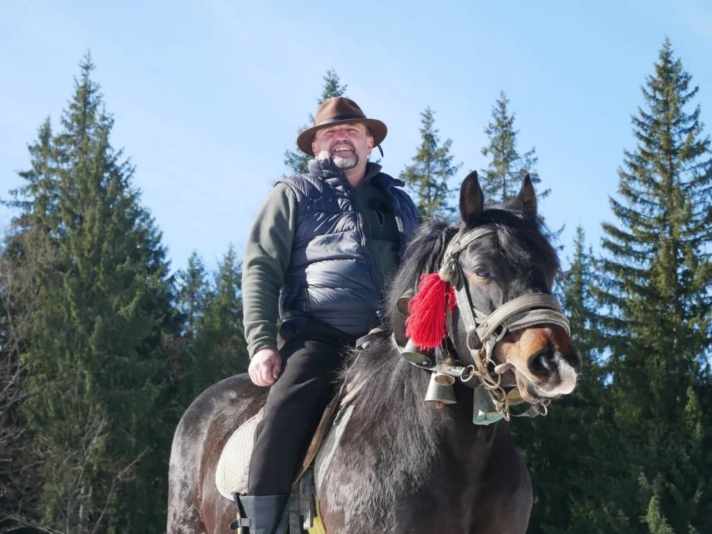 Чоловік на коні серед гірського лісу