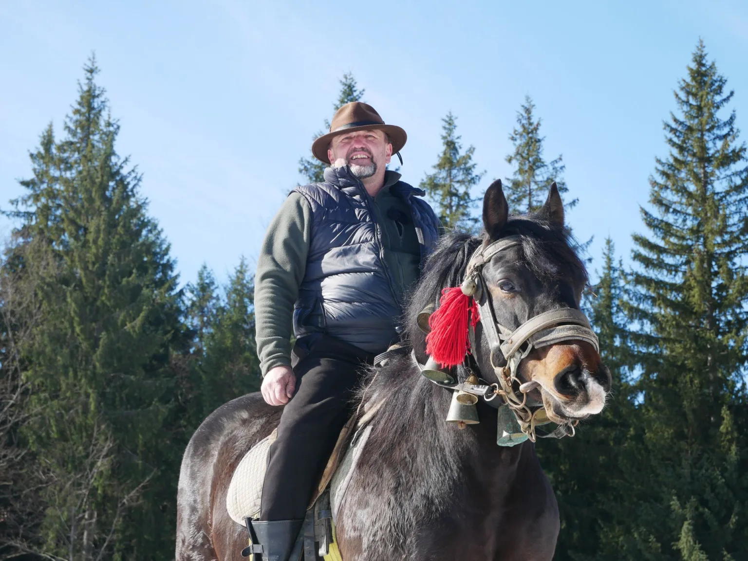 Чоловік на коні серед гірського лісу