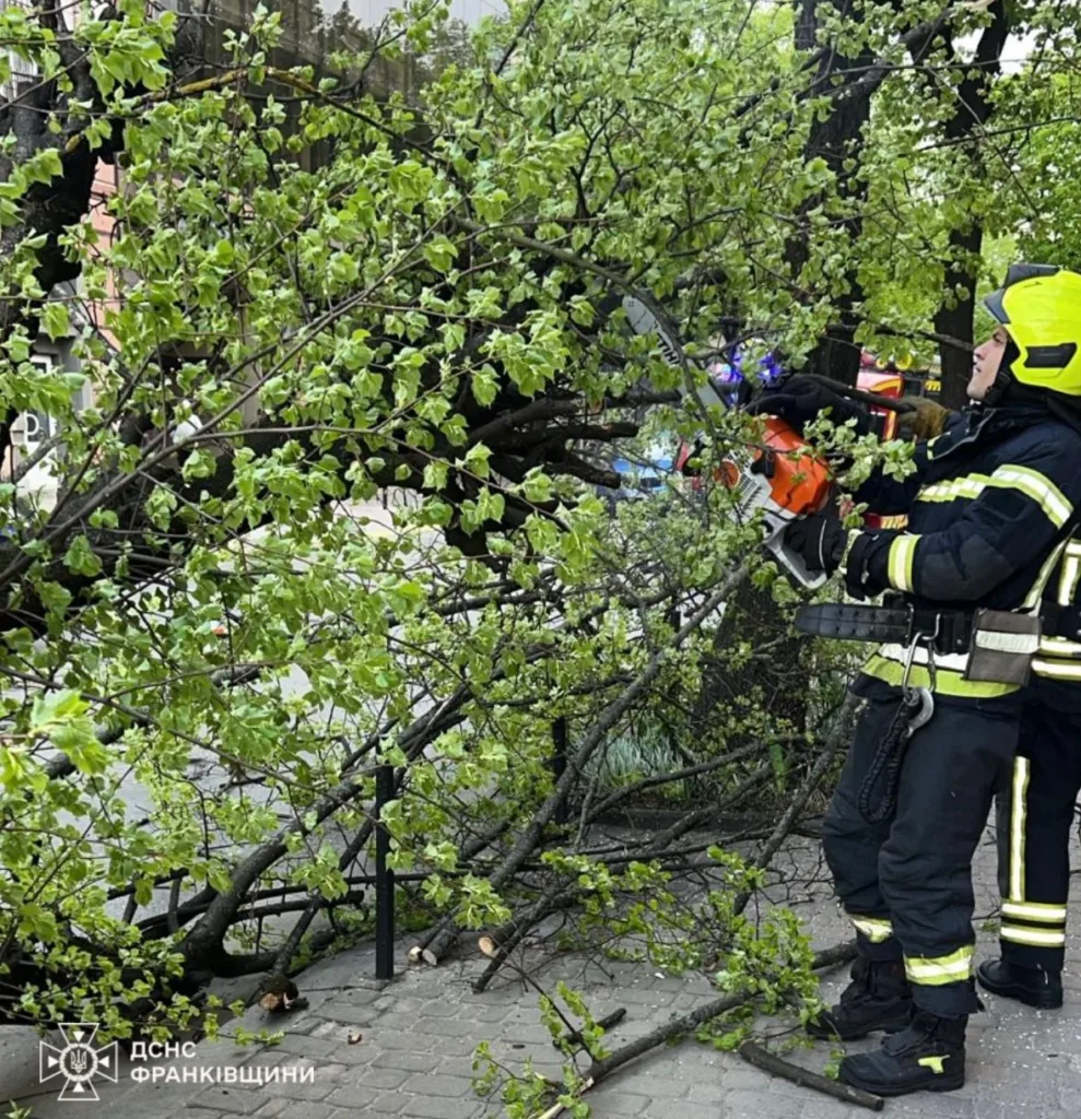 Рятувальник розпилює повалене дерево бензопилою