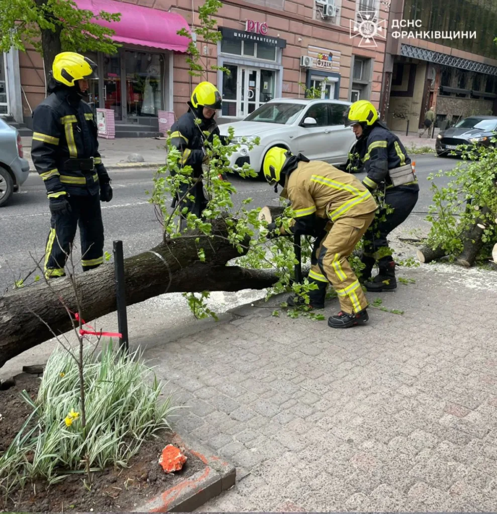 Рятувальники прибирають повалене дерево з тротуару
