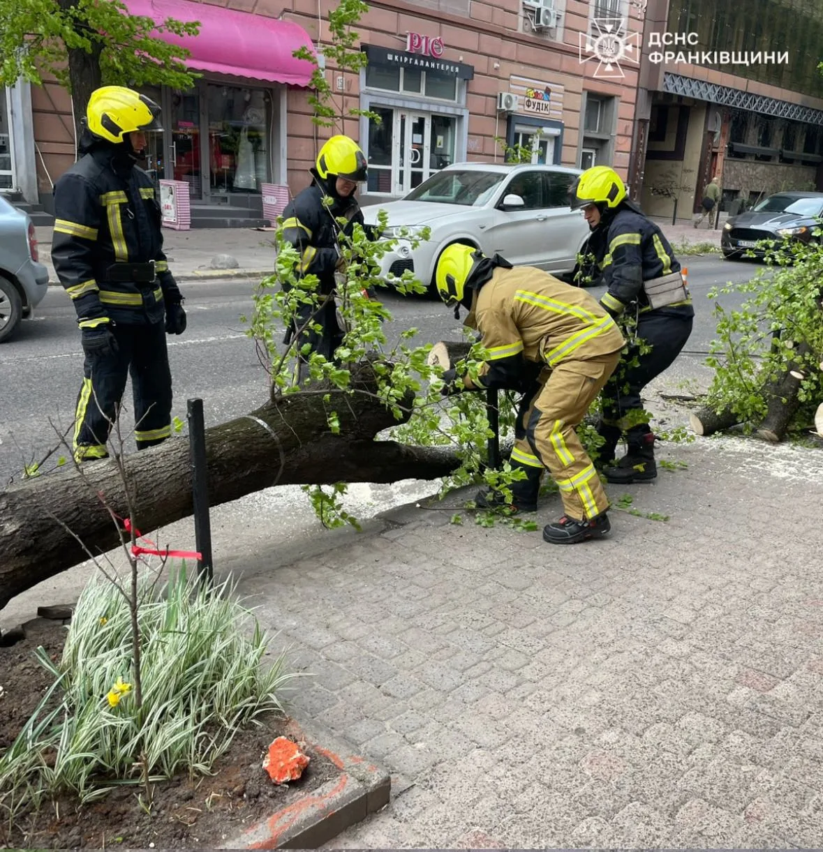 Рятувальники прибирають повалене дерево з тротуару