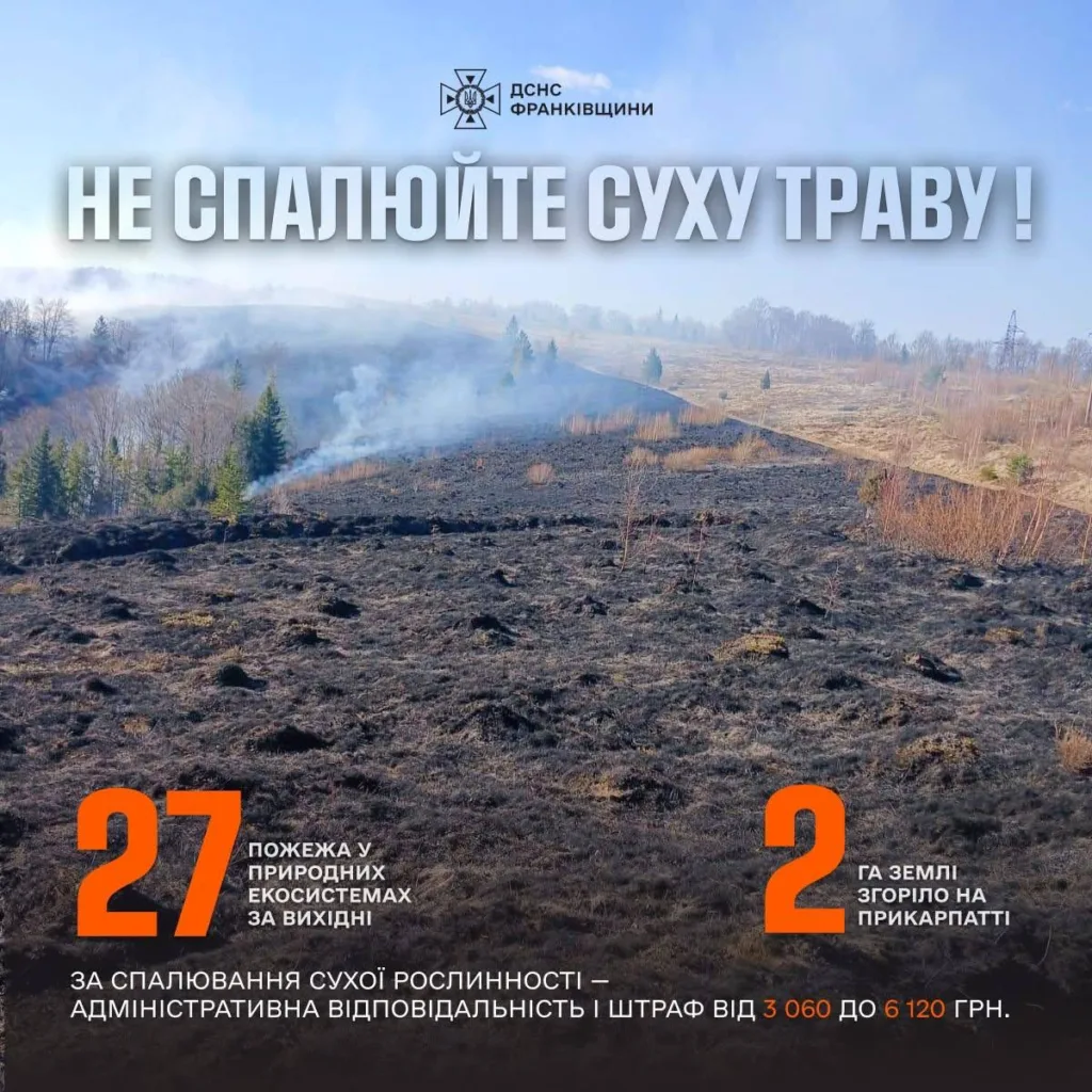 Пожежа на полі через спалювання сухої трави