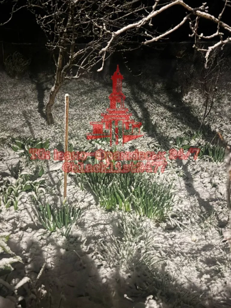 Сад уночі, покритий свіжим снігом