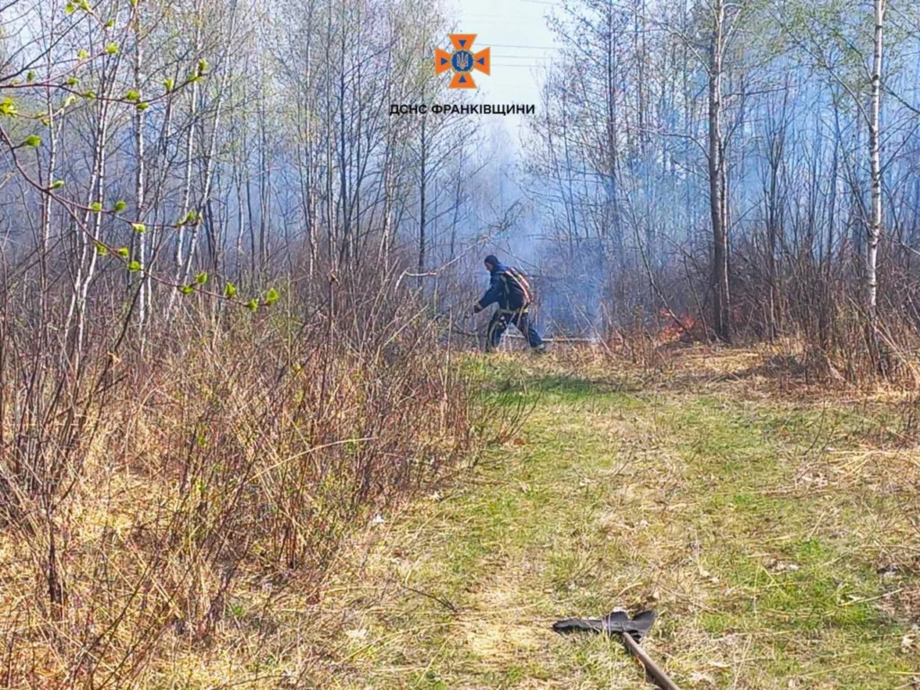 Рятувальник гасить пожежу в лісі