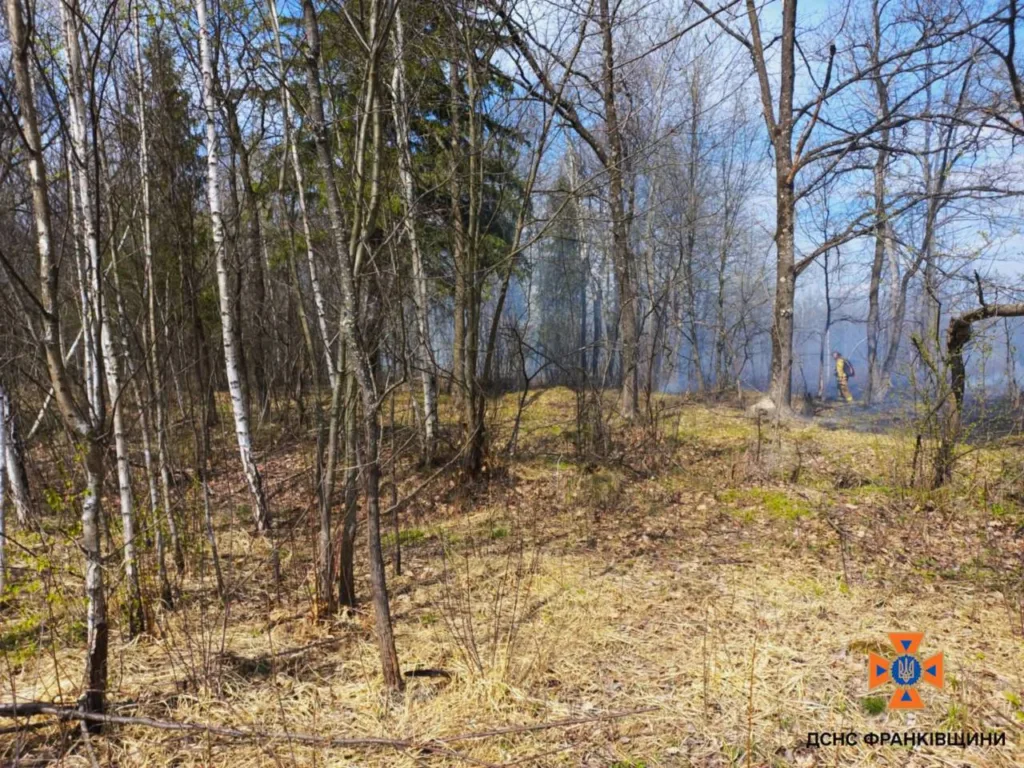 Пожежник гасить лісову пожежу серед дерев