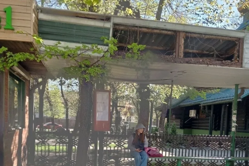 Жінка сидить на зупинці під старим навісом