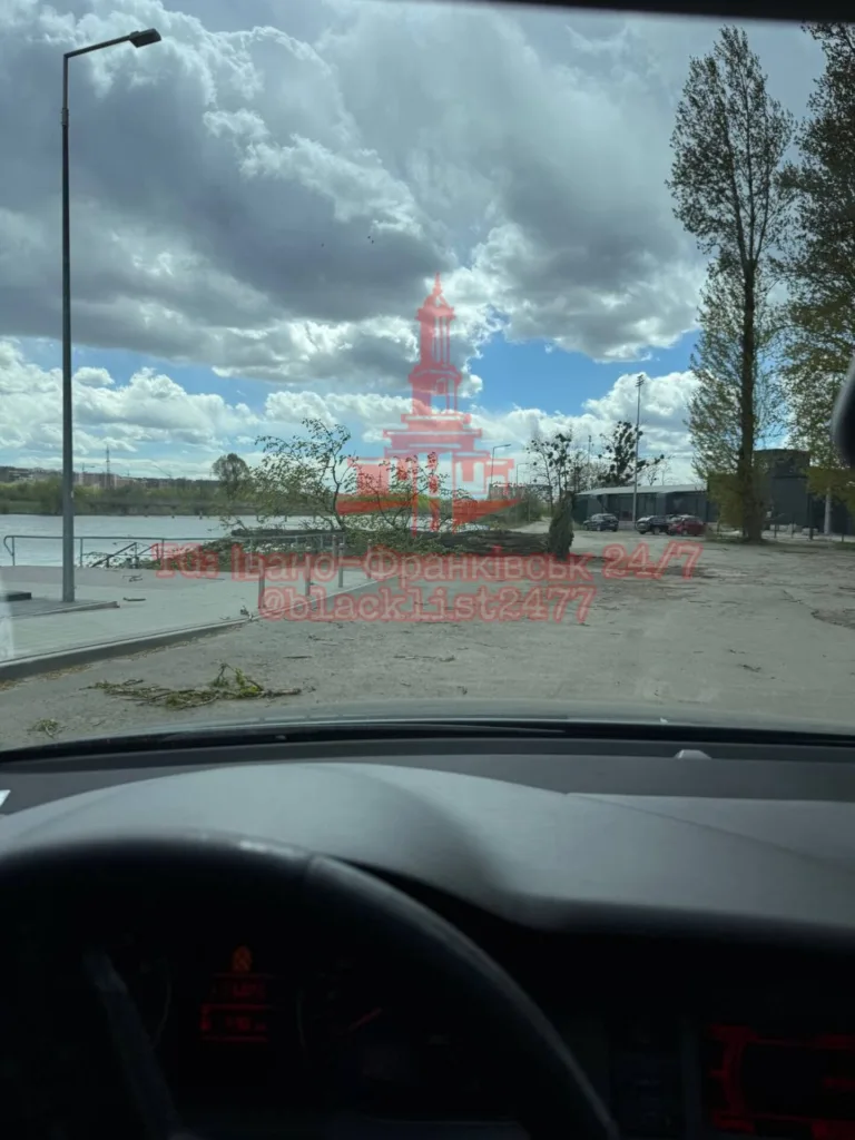 Вид з автомобіля на дорогу біля озера