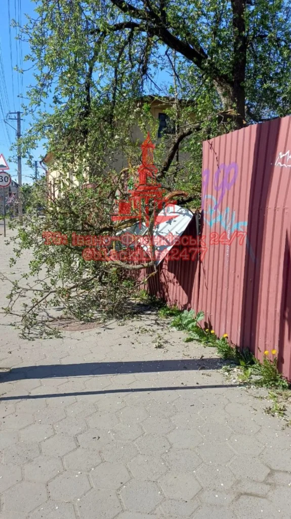 Повале дерево пошкодило паркан на вулиці
