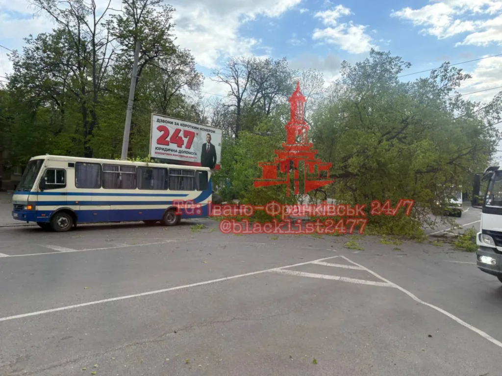 Впале дерево перекрило дорогу біля автобуса