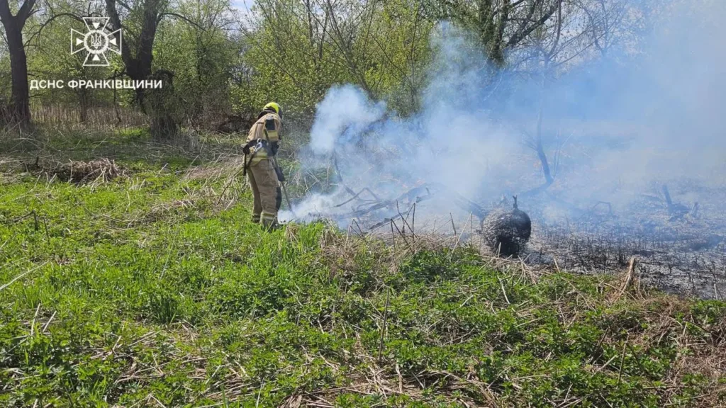 Пожежник гасить трав'яну пожежу на полі