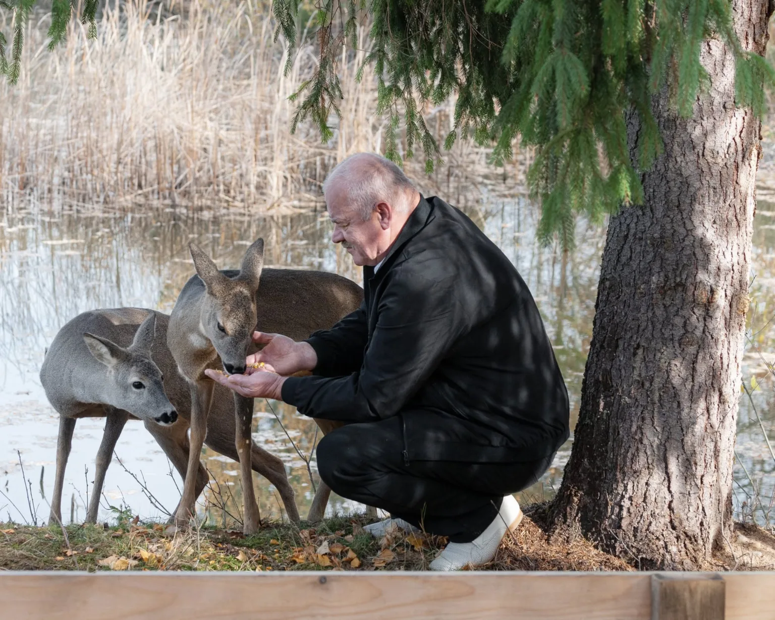 Чоловік годує двох оленів біля водойми