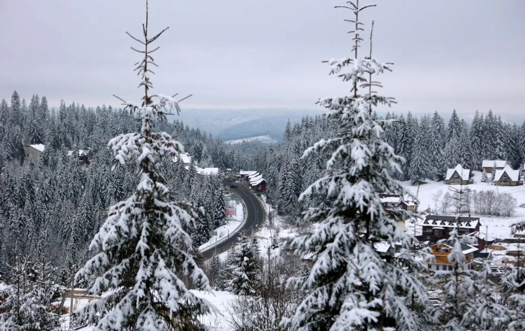 Зимові Карпати, засніжене село серед ялин