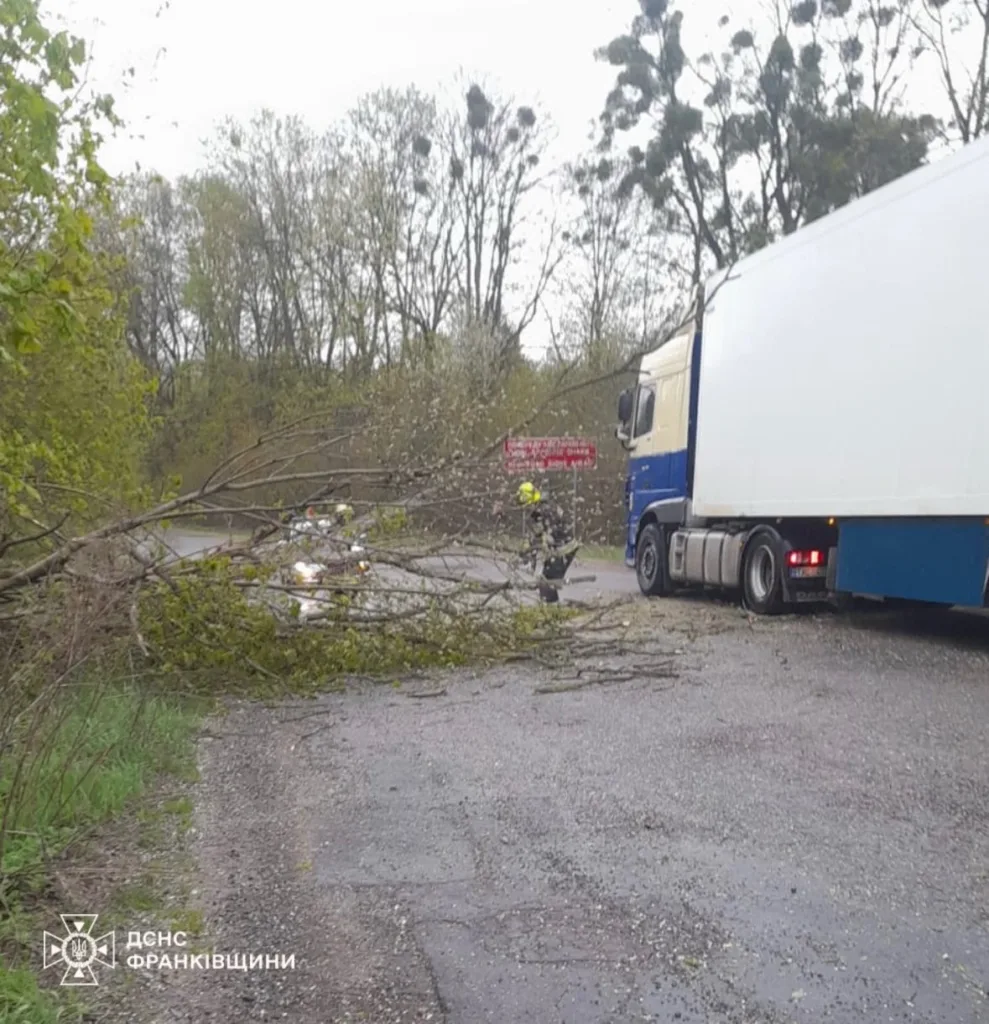 Пожежники прибирають повалене дерево з дороги