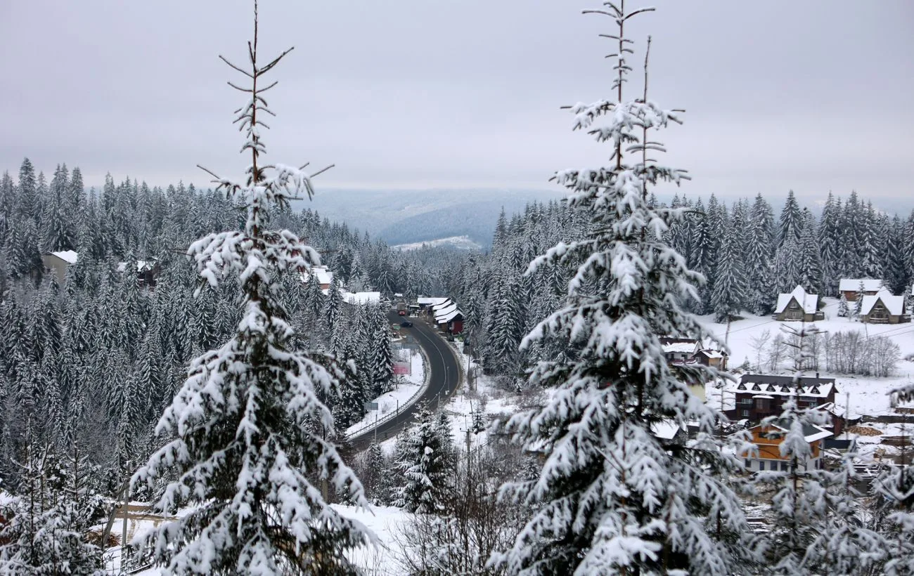 Зимові Карпати, засніжене село серед ялин