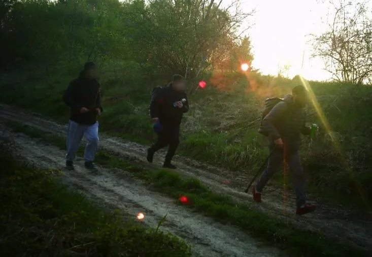 Туристи йдуть лісовою стежкою на світанку