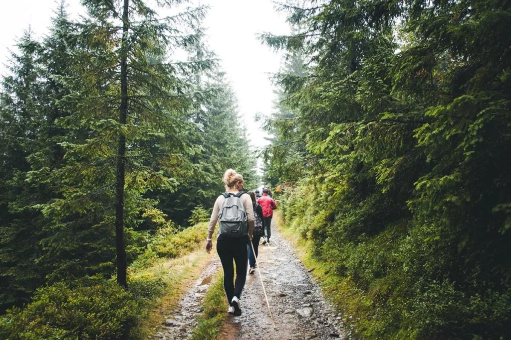 Похід стежкою через лісові гори