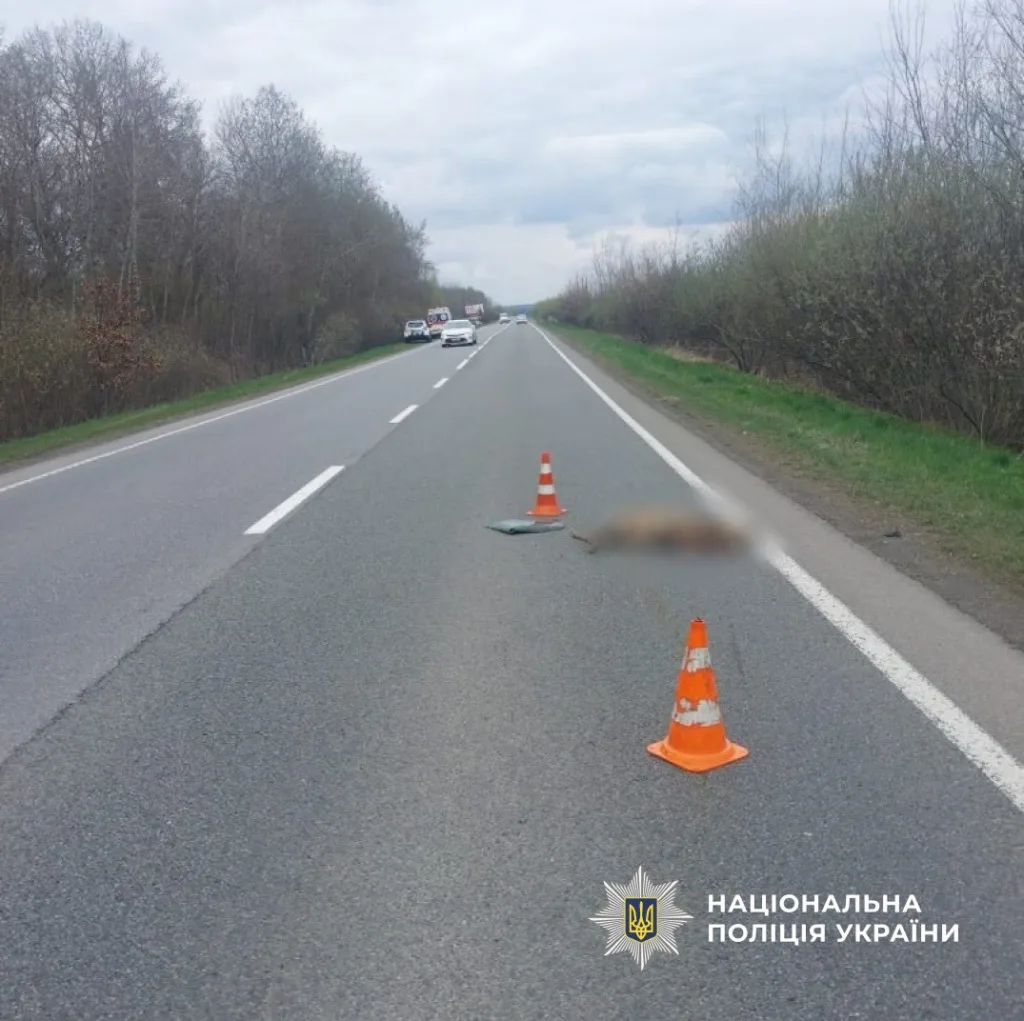 Дорожньо-транспортна пригода на трасі з конусами