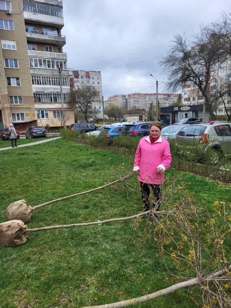 Жінка садить дерева біля багатоповерхівок