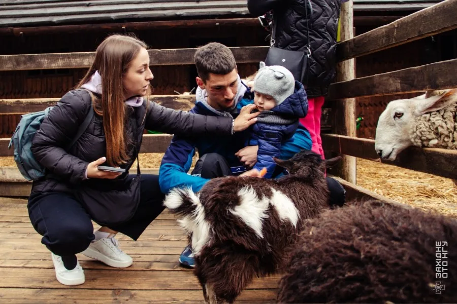 Сім'я грає з козами у контактному зоопарку