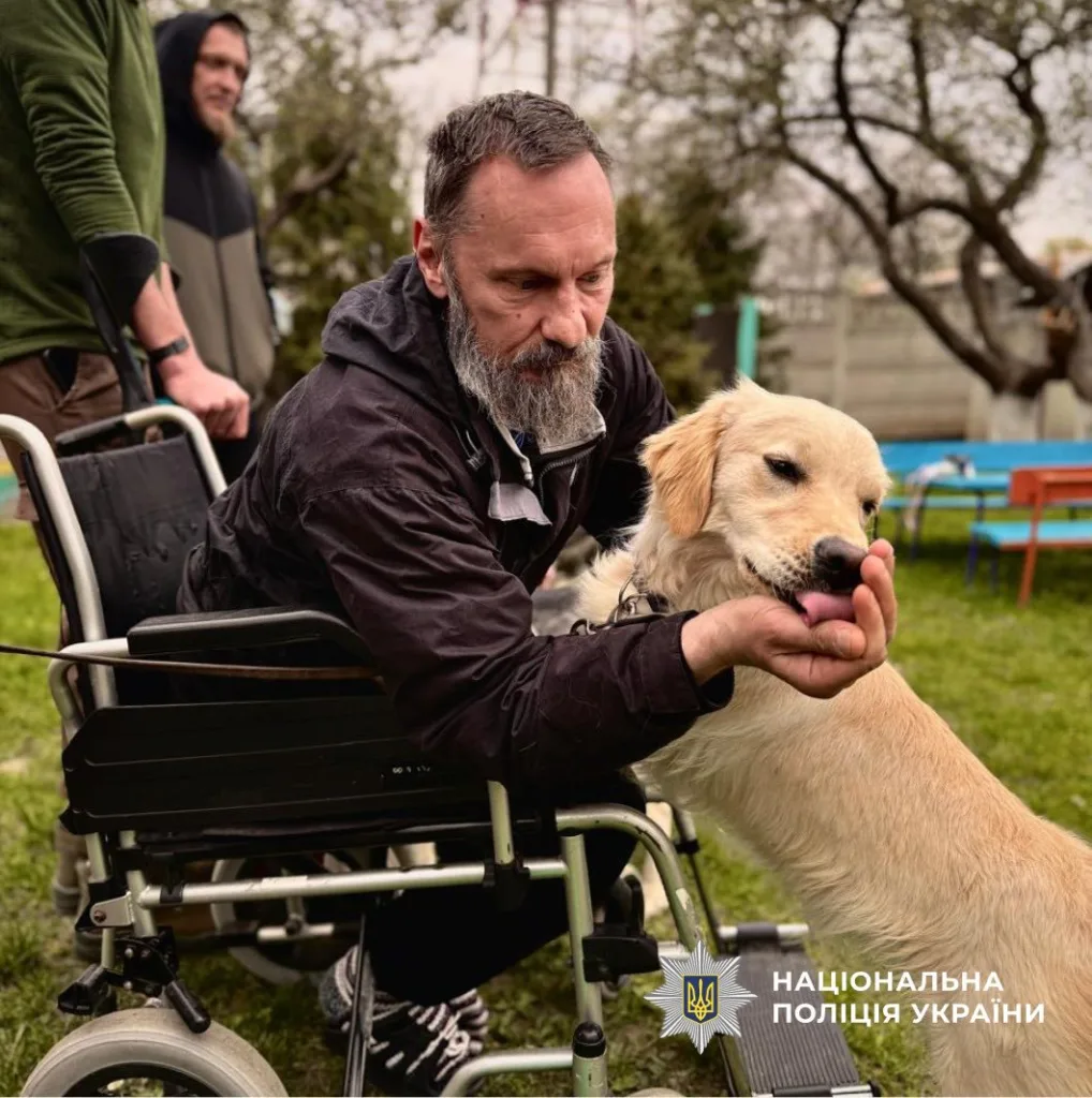Чоловік у візку гладить золотистого собаку