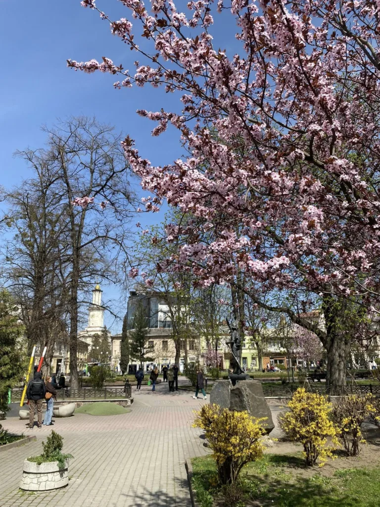 Весняний парк із цвітінням сакури та людьми