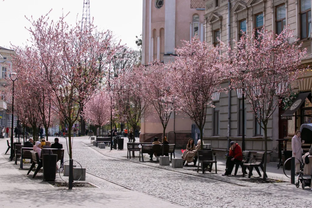 Весняна вулиця з квітучими деревами та людьми