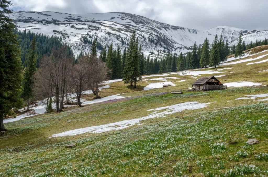 Весняні Карпати з хатинкою та сніговими залишками