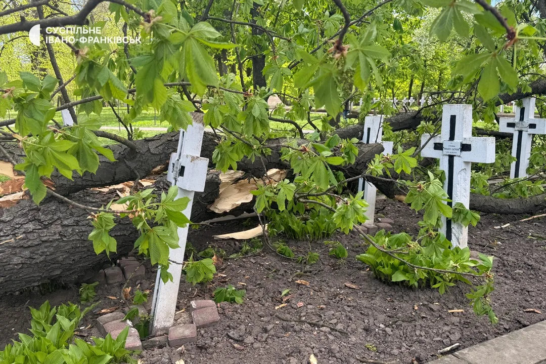 Повалене дерево на кладовищі з білими хрестами