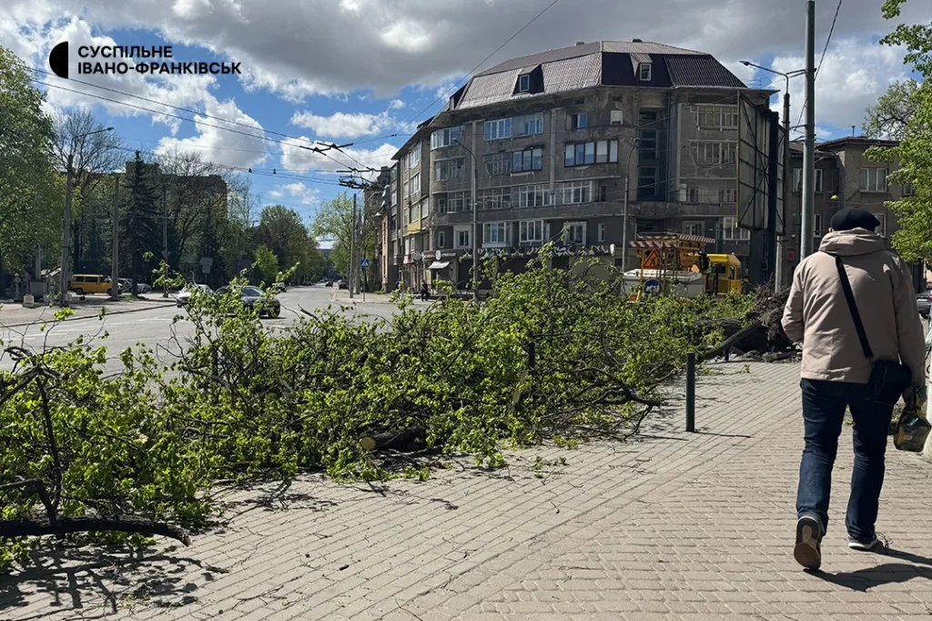 Повале́не де́рево на тротуарі в місті