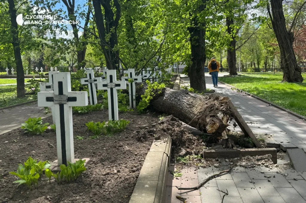 повалене дерево серед могил на цвинтарі