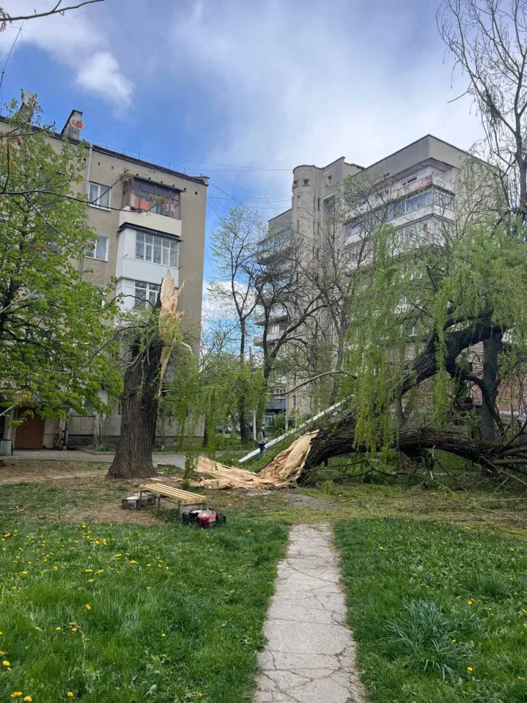 Зламане дерево біля житлового будинку