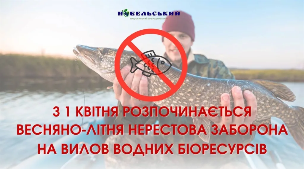 Заборона вилову риби навесні в Україні