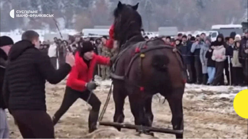 Змагання коней на снігу серед натовпу людей