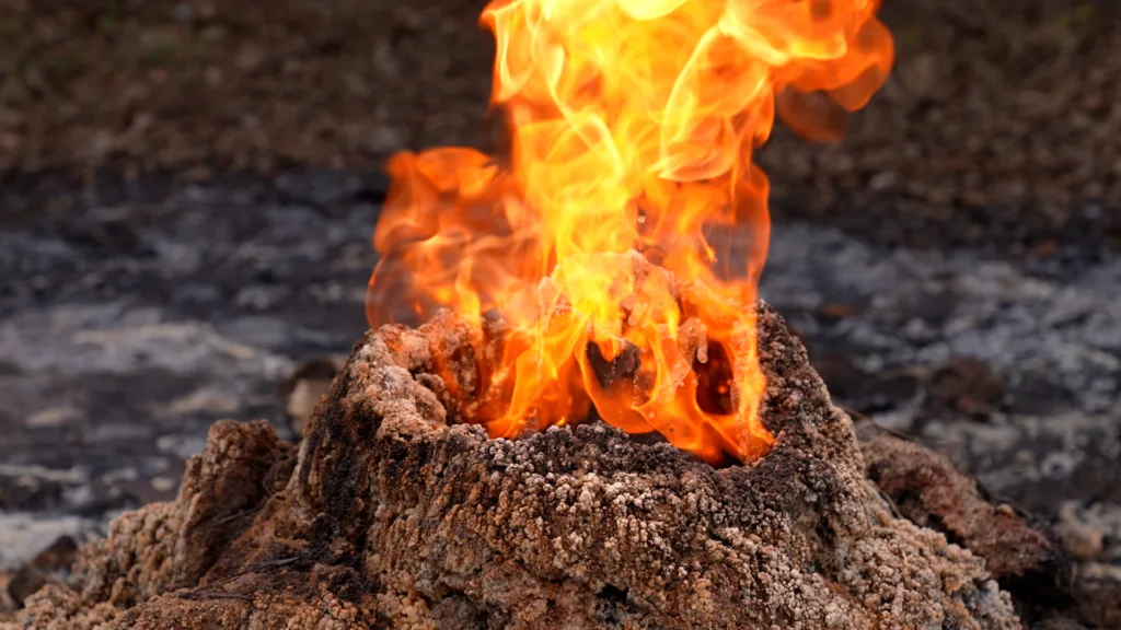 Полум’я з грязьового вулкана вогняного типу