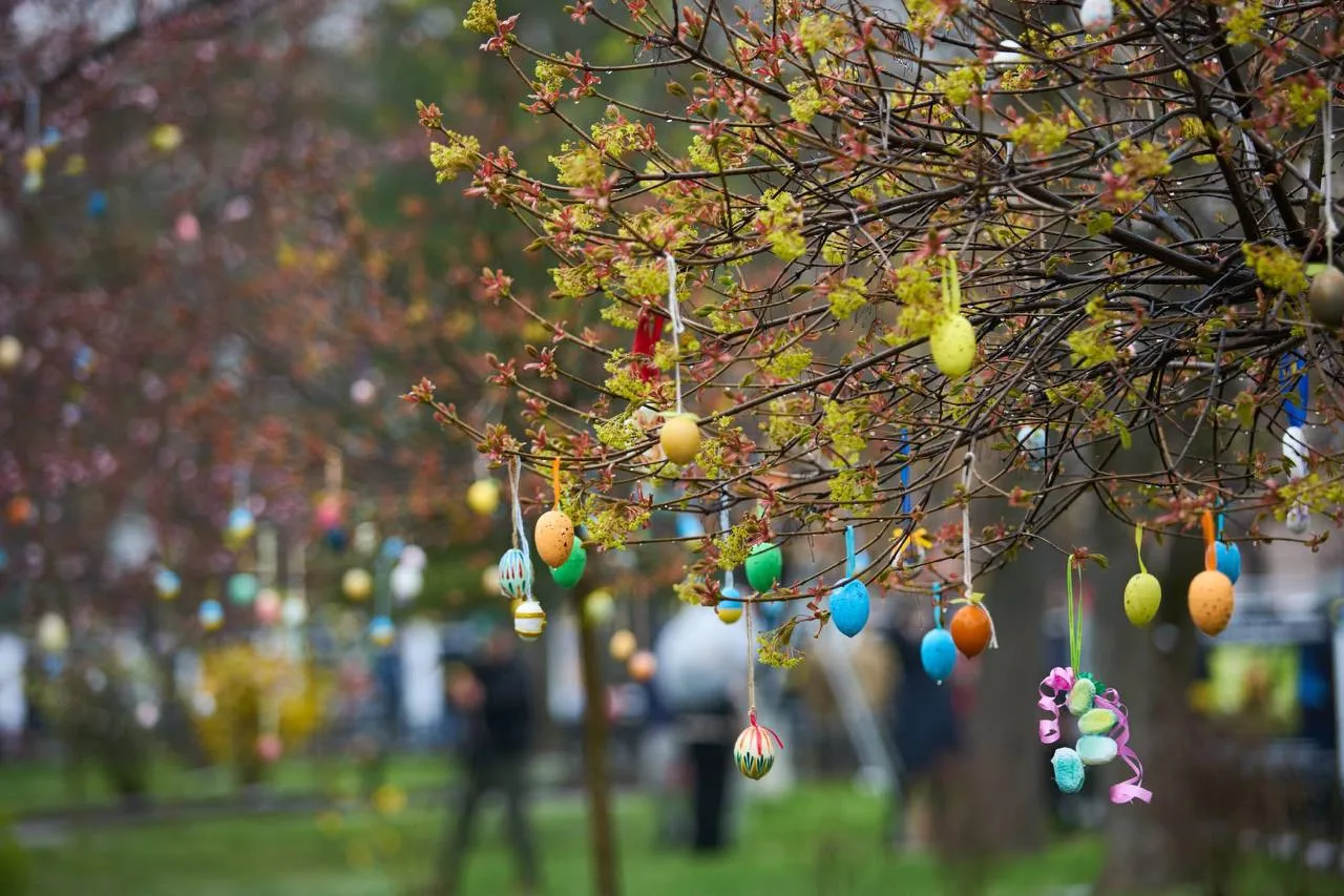Весняне дерево, прикрашене різнокольоровими великодніми яйцями