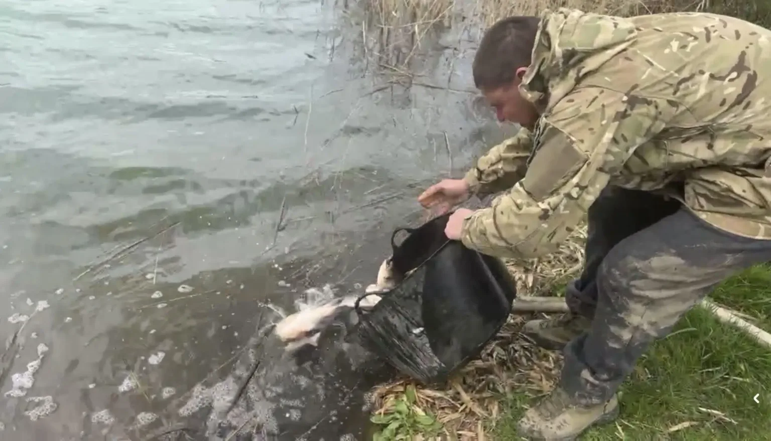 Чоловік випускає рибу у водойму