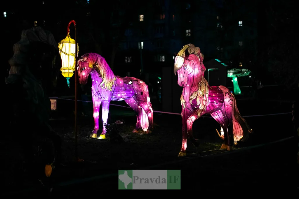 Світлові фігури коней на нічному фестивалі