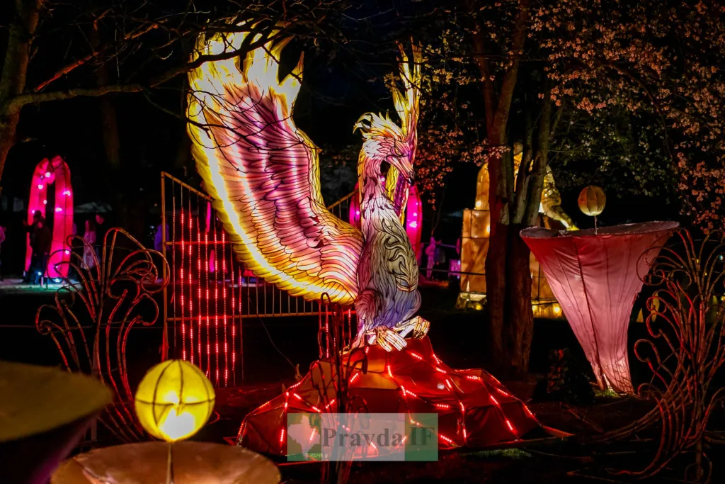 Світлова інсталяція фенікса на нічному фестивалі