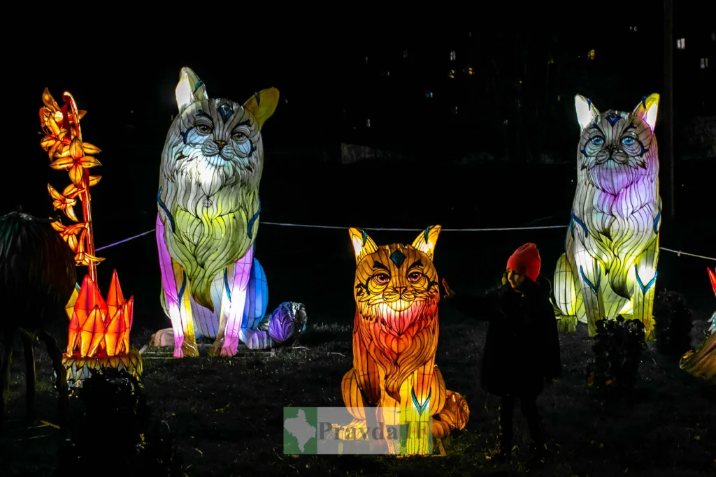 Дитина серед великих світлових фігур котів