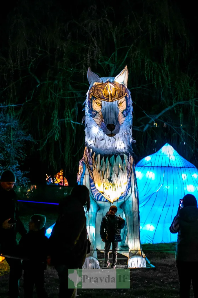 Світлова інсталяція вовка на нічному фестивалі