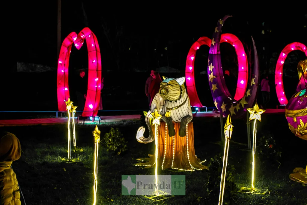 Світлова інсталяція кота та яскравих фігур у парку