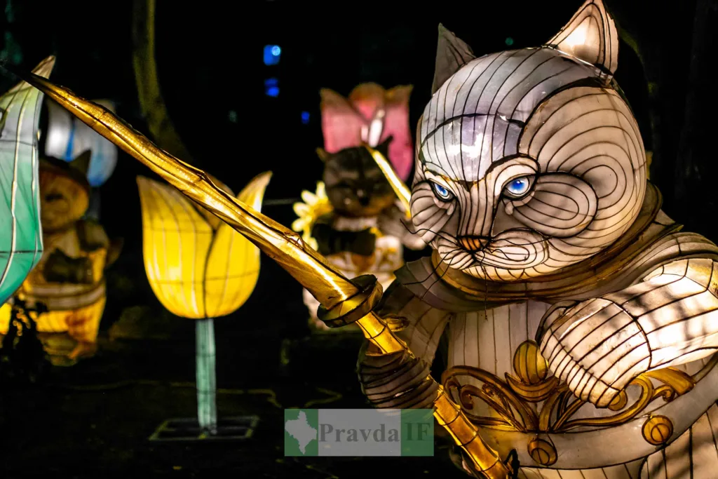 Світлова скульптура кота з мечем на фестивалі