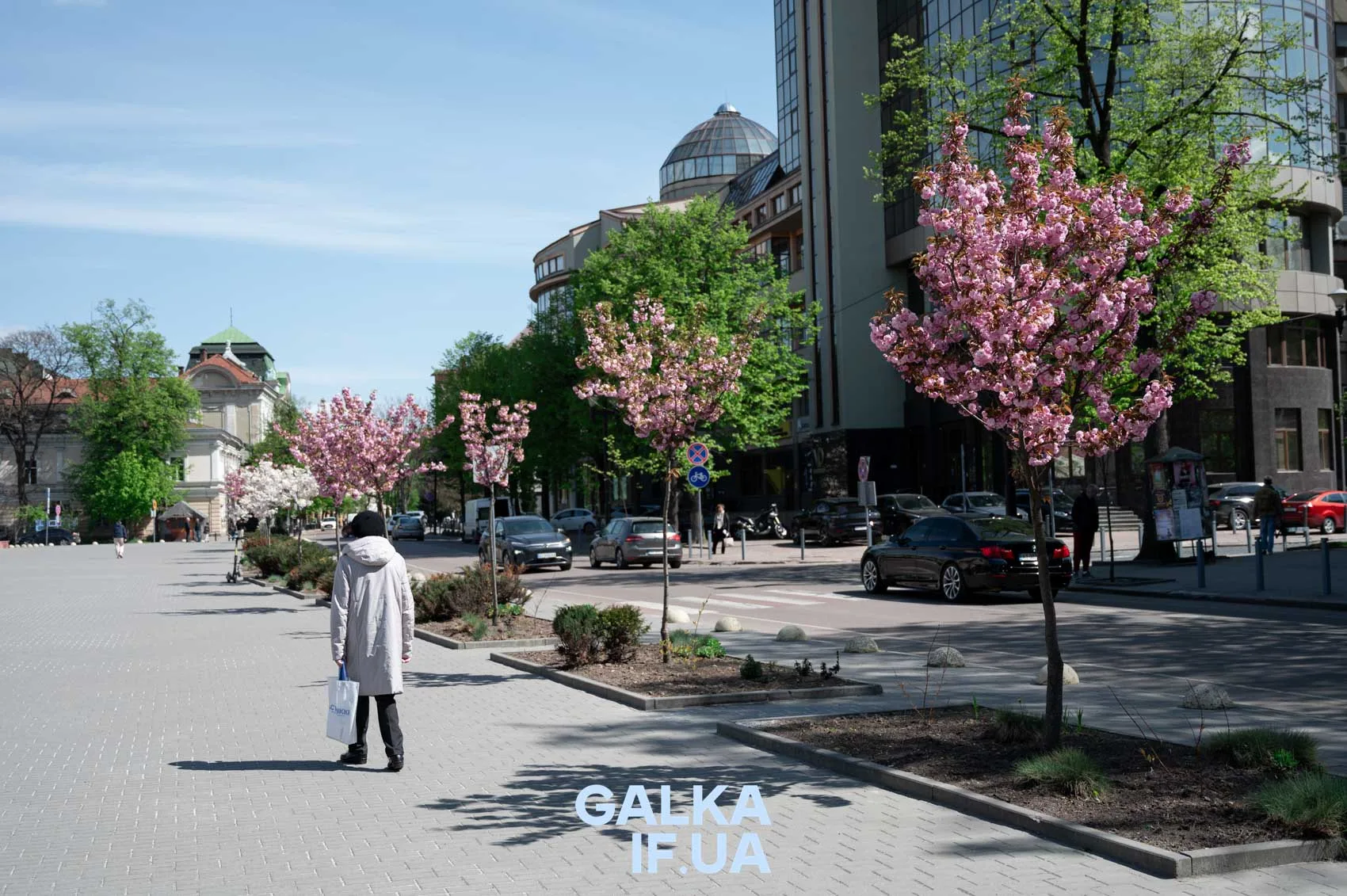 Весняна вулиця з квітучими деревами та людьми