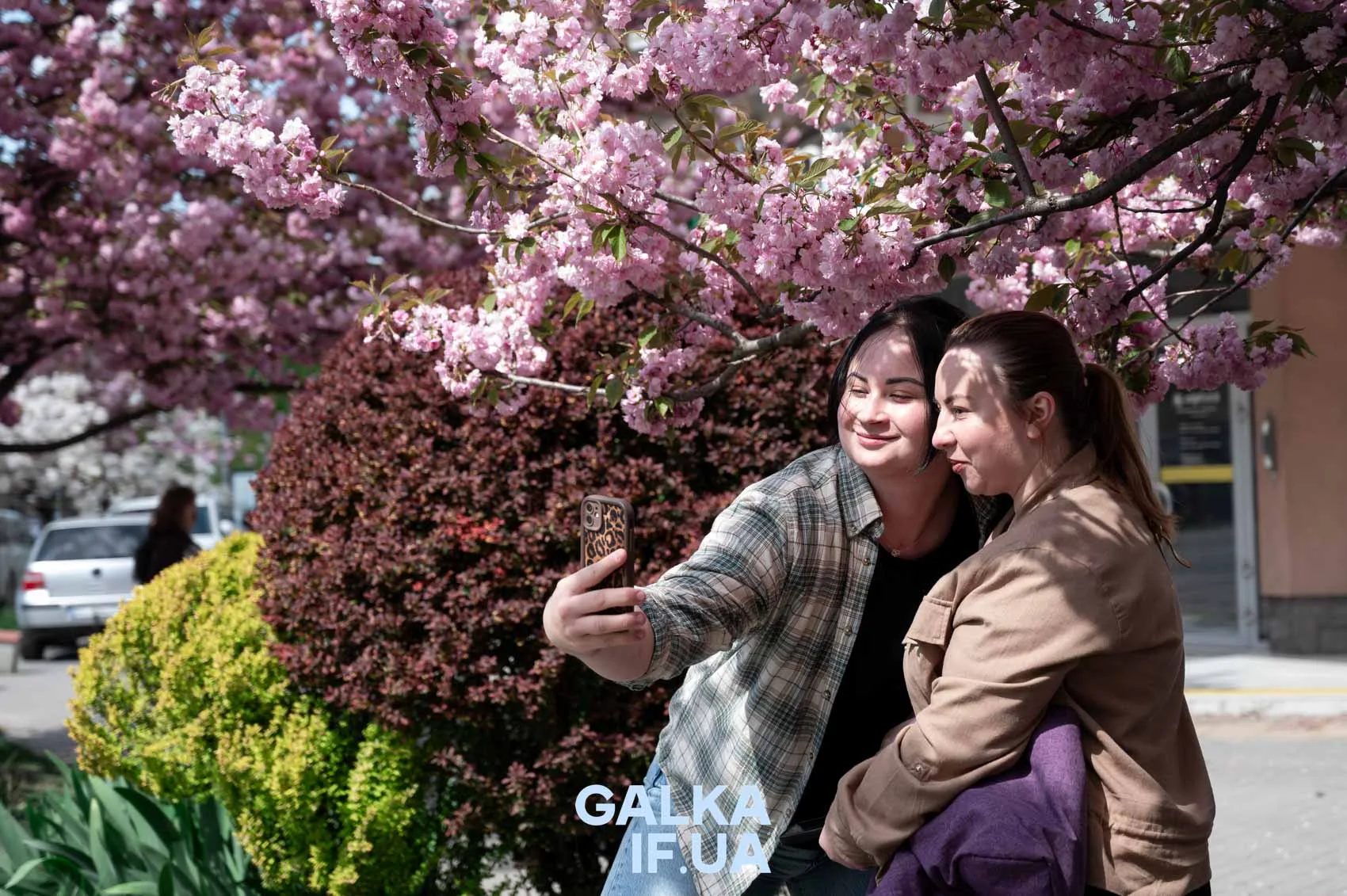 Жінки фотографуються під цвітом сакури